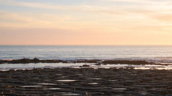 Les avantages clés de la détection réseau dans la Manche